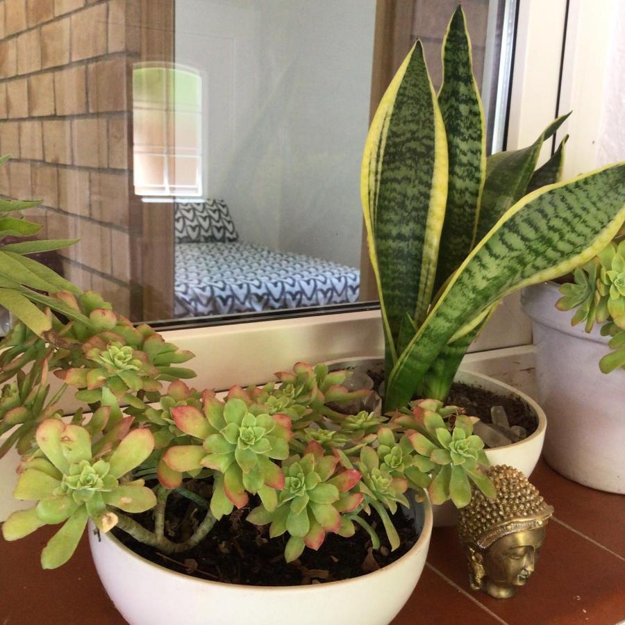 Holiday Home Paquita Sb Riumar Ngoại thất bức ảnh